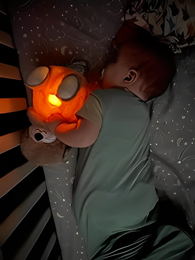 SnoozeBuddy - De Ultieme Slaapgezel