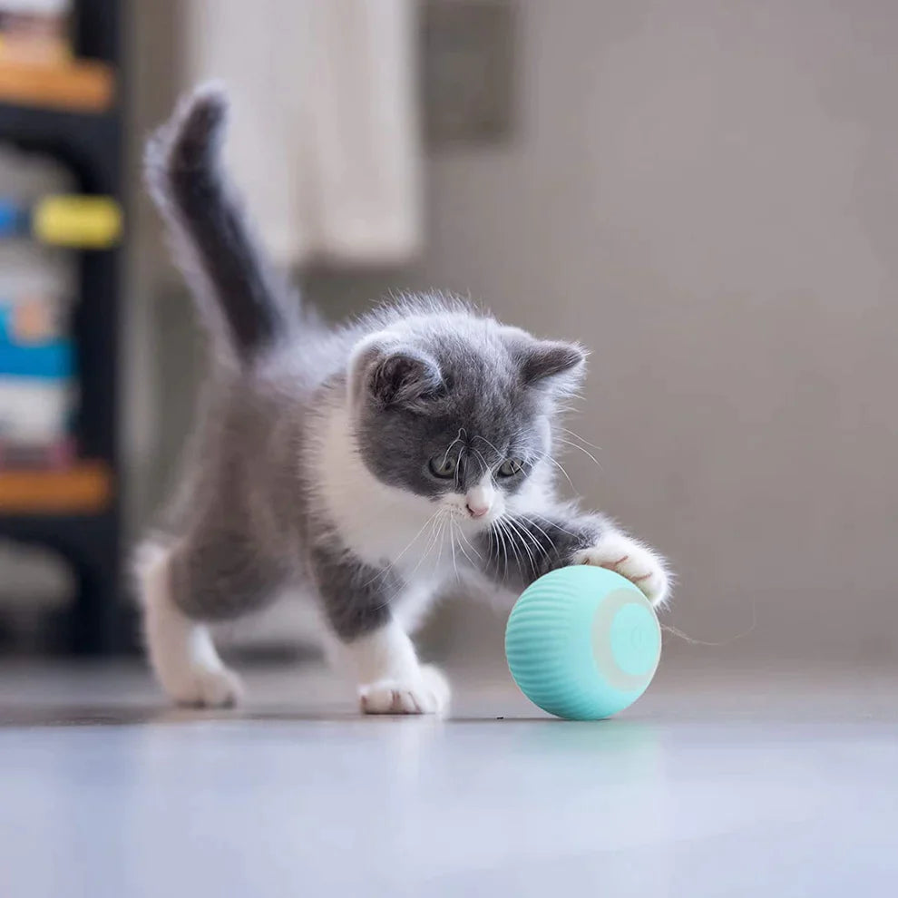 PurrBounce - Zelfrollende Bal