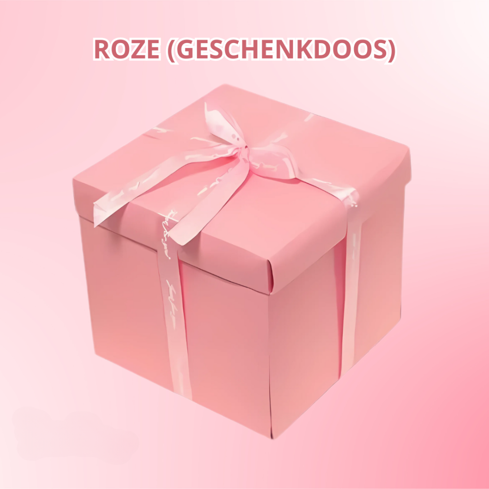 SurpriseBox | Cadeaubox