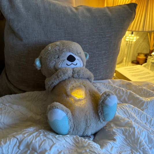 SnoozeBuddy - De Ultieme Slaapgezel