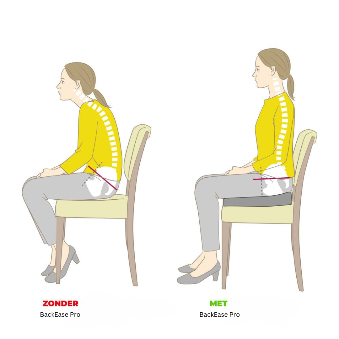 BackEase Pro - Orthopedisch Zitkussen
