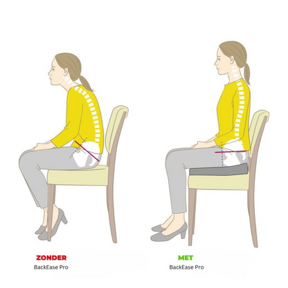BackEase Pro - Orthopedisch Zitkussen