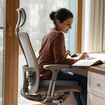 BackEase Pro - Orthopedisch Zitkussen